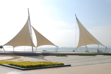 世界上最致命的几种动物