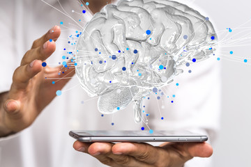 大学学历史专业能干什么