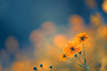 老瓷器鉴定的九大诀窍