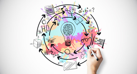 大学学历史专业能干什么