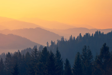 什么类型的书看三遍还想看？