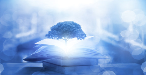 《古董局中局》讲述的故事你知道吗？