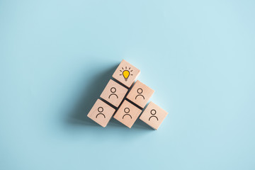 世界上最致命的几种动物