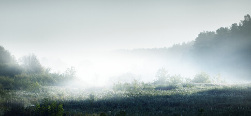 跪求数学家小时候的故事（350~450字）