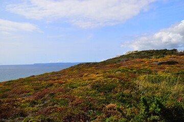 什么是内太空？