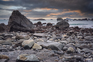动物笑谈主旨是什么-