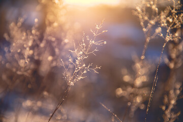 什么类型的书看三遍还想看？