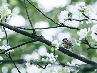 天津港-8·12-特大事故保险预计能赔付多少？