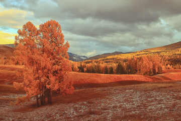 十款超级科幻奢华概念车