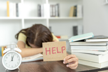 大学学历史专业能干什么