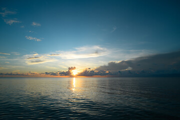 世界上最致命的几种动物