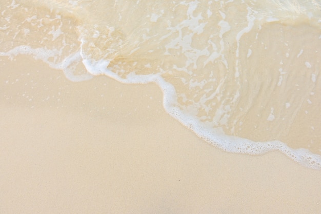 大学学历史专业能干什么