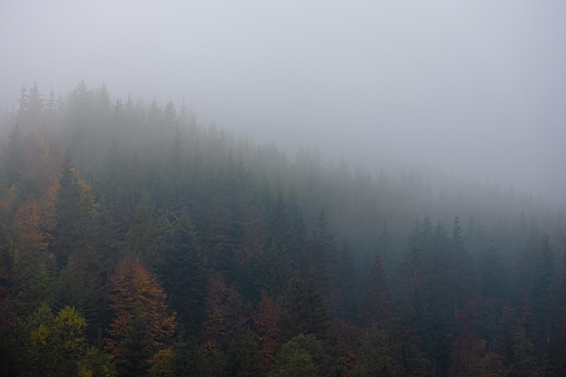 柴油发动机抖动厉害是什么原因