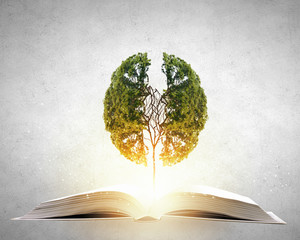 十万个为什么主要内容是什么