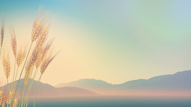 柴油发动机抖动厉害是什么原因