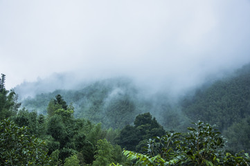 柴油发动机抖动厉害是什么原因